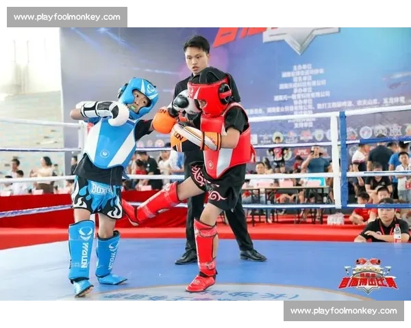 2017年搏击比赛精彩瞬间回顾 热血对决激烈碰撞劲爆场面